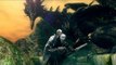 Dark Souls PC : trailer#1