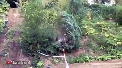 SI TE RIES PIERDES NIVEL DIOS ANIMALES CHISTOSOS Y GRACIOSOS HABLANDO ABRIL 2017