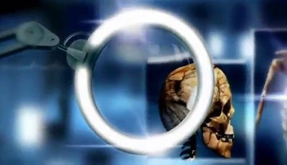 HISTORY COLD CASE - The York 113 (BBC Archaeological Documentary) http://BestDramaTv.Net