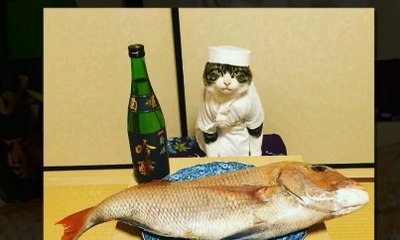 Aksi Kocak Parkir Mobil Terekam CCTV