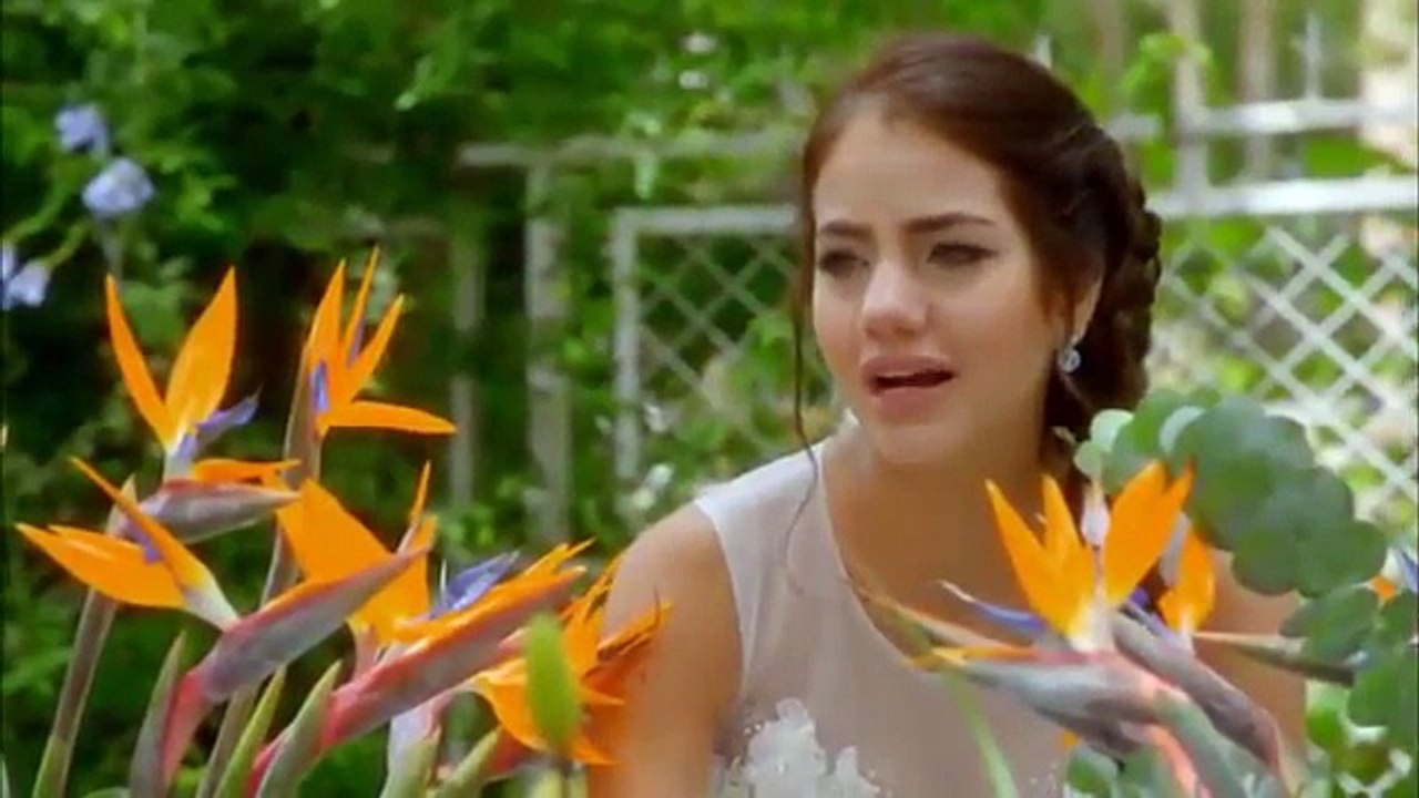 Maia Y Pablo : Donde Esta Maia ( Amo Despertar Contigo )