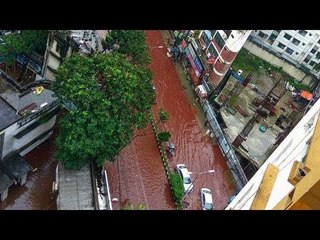 Dhaka roads run in blood after animal scarifies during Eid-al-Adha, watch here | Oneindia News