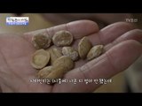 뇌경색을 극복하는 비결은?! [광화문의 아침] 453회 20170331