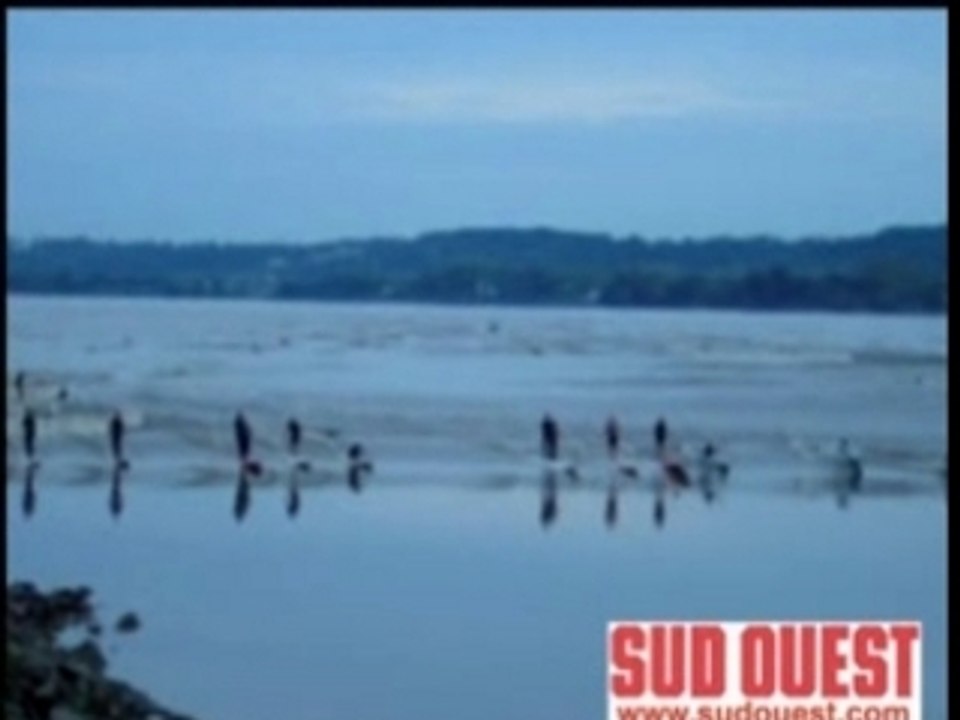 Surf Mascaret Dordogne Gironde