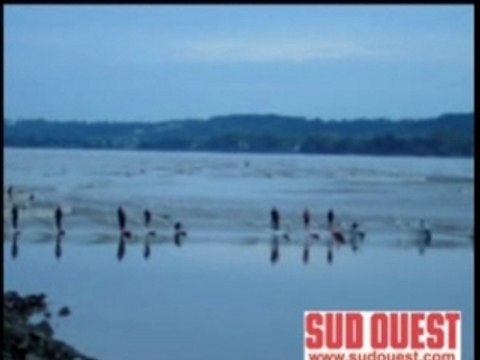 Surf Mascaret Dordogne Gironde