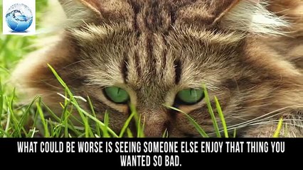 10 Awkward Photos That Caught People Looking Jealous