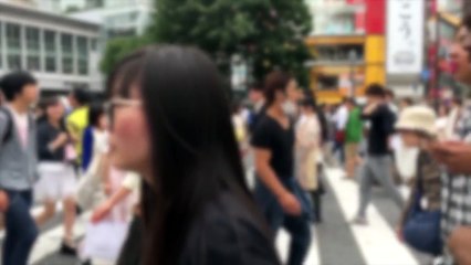 JVZoo-Academy-Review