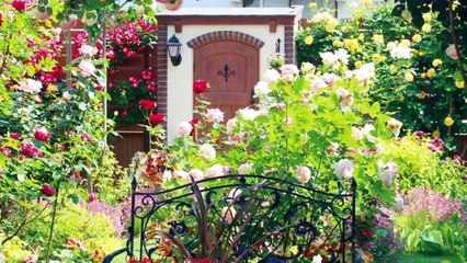 ネクストステージ中野の戸建に住むならオシャレな庭にしたい！ (7)