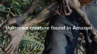 Unknown creature found in Amazon