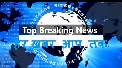 एक बन्दर ने गुल कर दी पूरे शहर की बिजली | Monkey Destroy Electricity Wires