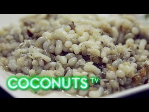 Freaky Feasts #11: Freaky Isaan Trifecta - Ant Eggs, Bee Larvae and Grilled Frog