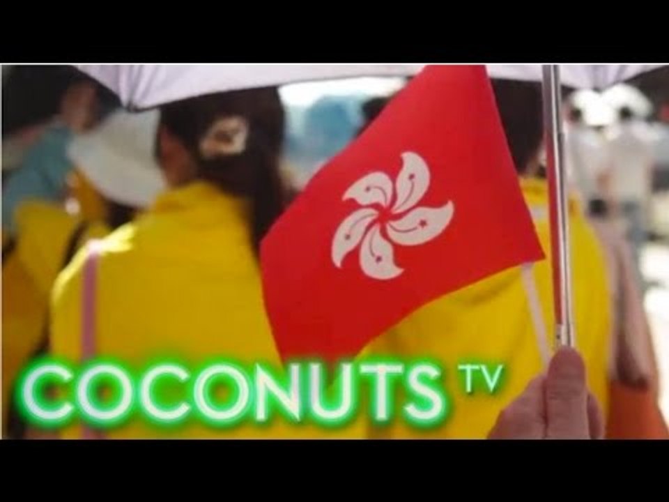 The Counterfeit Protest: Hong Kong's pro-Beijing rally against Occupy Central