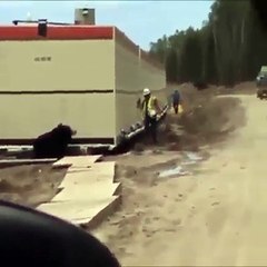 Le saca un susto epico