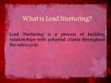 Lead Nurture - Lead Generation services - B2B Capricorn