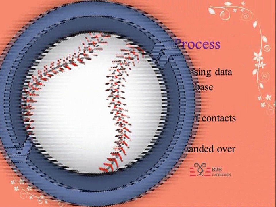 Data Appending Services - B2B Capricorn