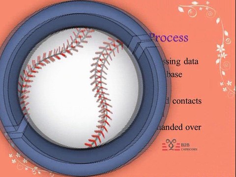 Data Appending Services - B2B Capricorn