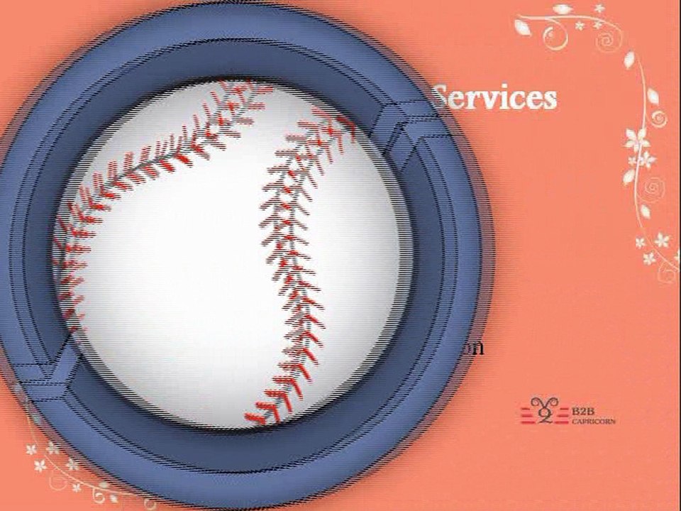 Campaign Services - Email Campaign Services - B2B Capricorn