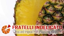 Foreign technology processing pineapple