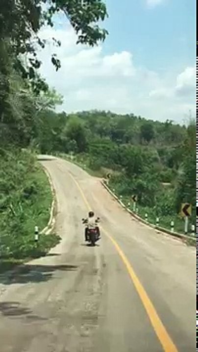 Un serpent attaque un motard sur une route en Thaïlande !