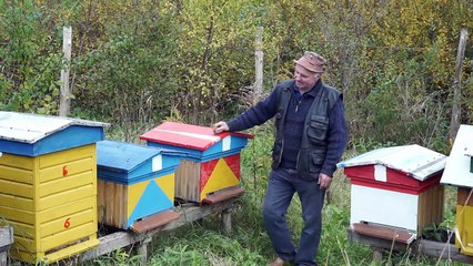 Odc. 1 Amolowe ciekawostki o miodzie