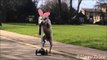 Playful Pooch Tries to Fool Park Goers