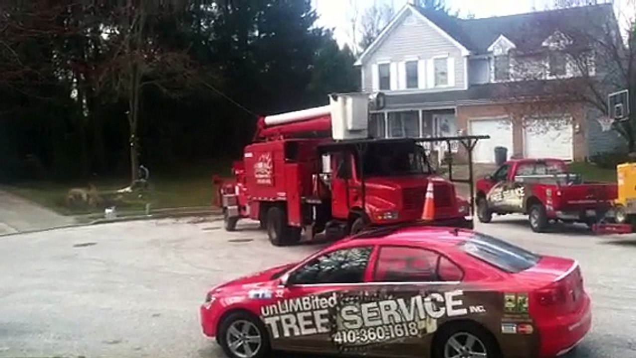 Tree Service Burtonsville