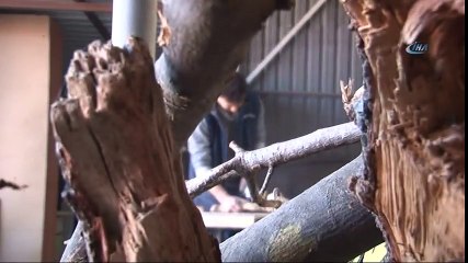 Ağaç Dallarından Sanat Eseri Yapıyor