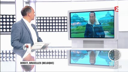 Sans frontière - Bruxelles : les magnifiques serres royales viennent d’ouvrir au public...