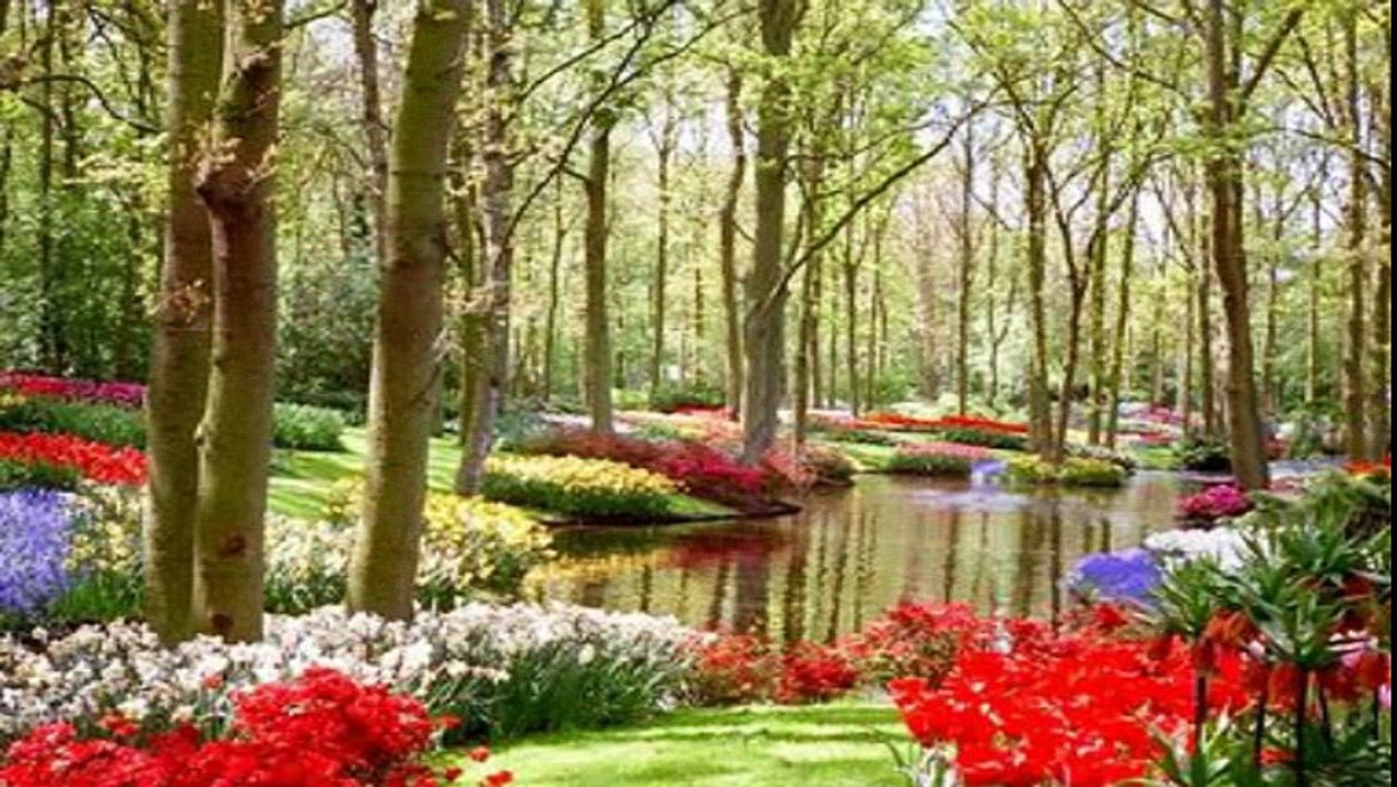 TU BATA DE MERE YAAR