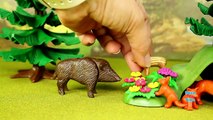 Playmobil Woodland Forest Wild Animals Building Toy Set Build Review-FWMwSO60LGg