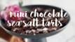 Chocolate Sea Salt Tarts-nbTnnTih2y0