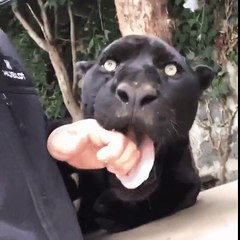 해외에이전시【【 SCB33 。CＯM『가입코드: 0004』】】인터넷스포츠배팅