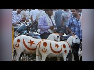Bakr-Eid in trouble, PIL filed to quash animal sacrifices | Oneindia News