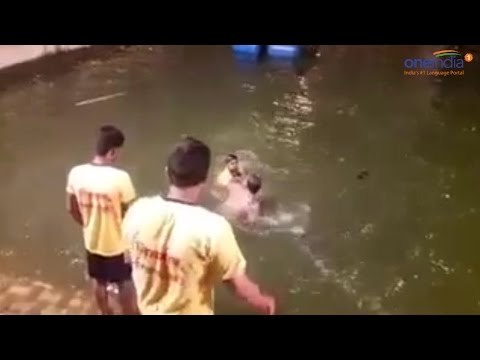Mumbai cop pushed in lake, drowned by youth during Ganesh immersion | Oneindia News