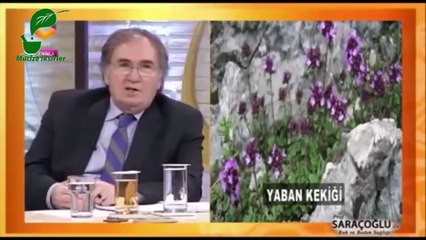 Bağırsak parazitleri, amip ve kıl kurdu için kür - ibrahim saraçoğlu
