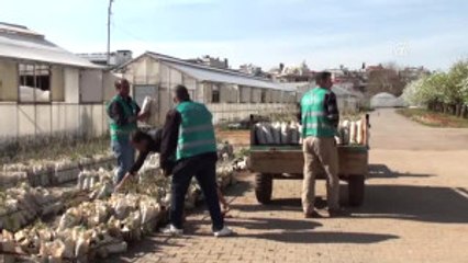 Hükümlülere "Fıstık" Gibi Ceza - Gaziantep