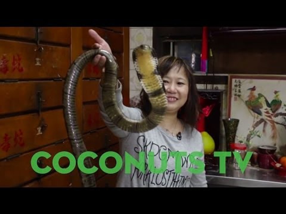 Freaky Feasts #5: Hong Kong high stakes with snake soup