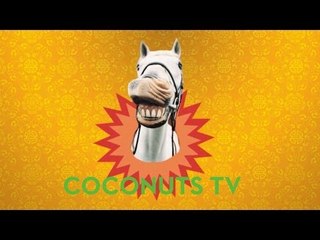 Happy Chinese New Year 2014: Welcome Year of the Horse