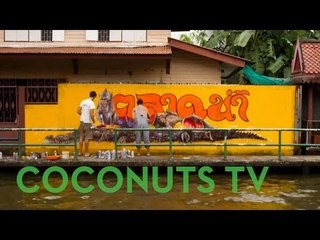 Art Coco: Painting Crocodiles on Canals in Bangkok