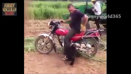Funny Videos DFGHJKL;''2017 - Filipino Vines Funny - Pinoy Vines