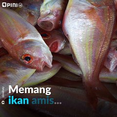 Cewek Jangan Makan Ikan!