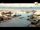 L'Etat de Dégradation de la Baie de Hann - Xibaar Yi Soir - 11 Août 2012