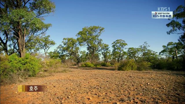 동물의 세계 20170418