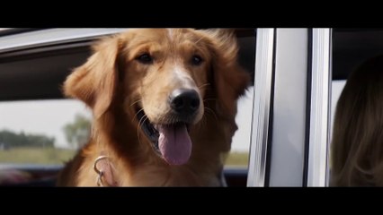 Mes vies de chien Bande-annonce VF