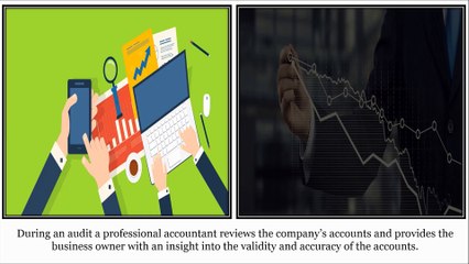 Importance of Auditing a Company