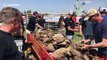 'Cow chip' throwing contest takes place in Beaver, Oklahoma