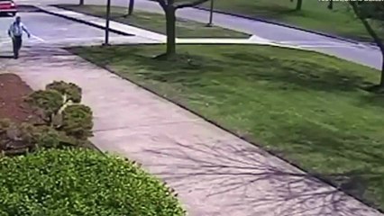 El ganso más bravo acobarda a este policía