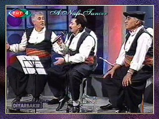 ELAZIĞ ÇAYDA ÇIRA MÜZİK GRUBU - Kara Erik Çağala