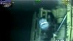 Megalodon Shark Caught on Tape - Discovery Channel Shark Week Monster Submarine Documentary - Part 2