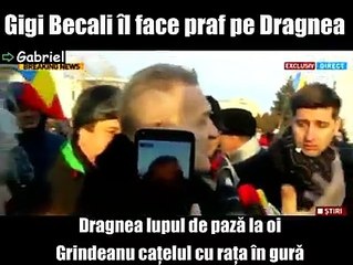 becali-dragnea